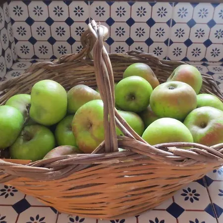 Casa Soresina Bed & Breakfast