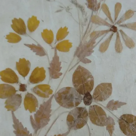 Bed & Breakfast Casa Soresina