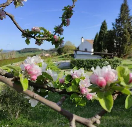 Bed & Breakfast Casa Soresina *