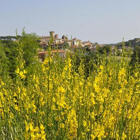 Bed & Breakfast Casa Soresina 3*