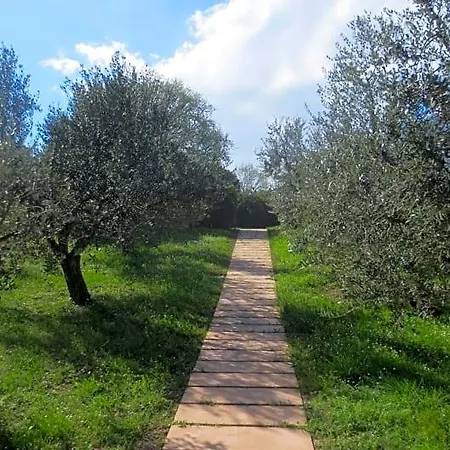 Casa Soresina Bed & Breakfast 3*
