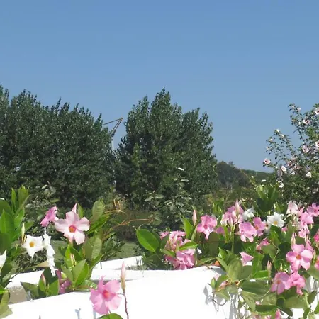 Casa Soresina 3* Offagna